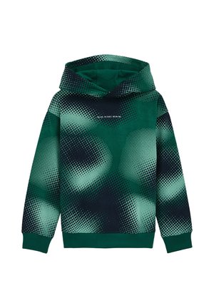 BLUE RIDGE - Felpa - sea green