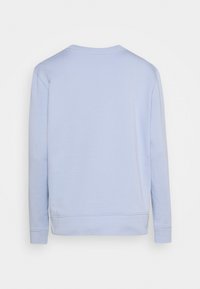 Sweat-shirt bleu clair en tissu de coton doux avec un col rond et des manches longues. Design uni avec des poignets et un ourlet côtelés. Vue de dos présentée.