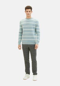 TOM TAILOR GESTREIFT MIT GERIPPTEN RUNDHALS - Trui - blau