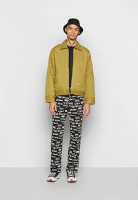 Dickies LINED EISENHOWER JACKET - Casaco leve - green moss