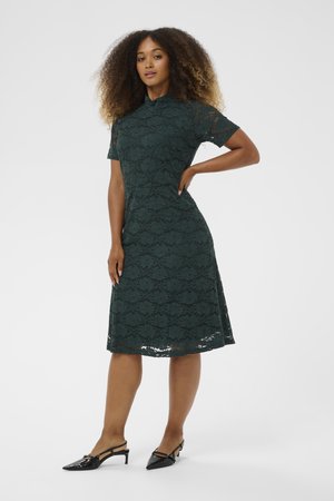 Dark green lace dress with short sleeves and a high collar. Features a floral pattern and a flared midi length. Paired with black slingback shoes.