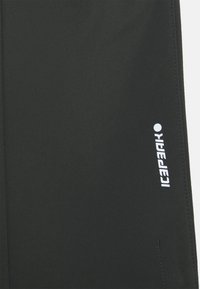 Icepeak Długie spodnie trekkingowe
