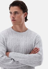 Helles graues gestricktes Sweatshirt mit einem strukturierten Blattmuster und einem runden Halsausschnitt. Die Ärmel sind gerippt und leicht locker.