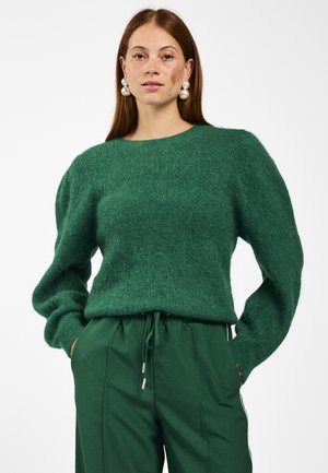DENIZE WP 389 - Trui - ever green