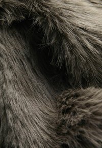 JJXX JXTANIA - Chaqueta de invierno - thunderstorm