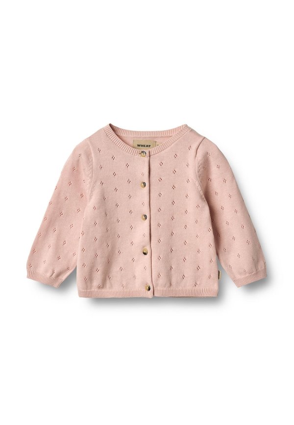 MAIA - Strickjacke - powder