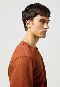 Maglietta a maniche lunghe color ruggine con scollo rotondo e dettagli cuciti, caratterizzata da una morbida texture e una vestibilità comoda.
