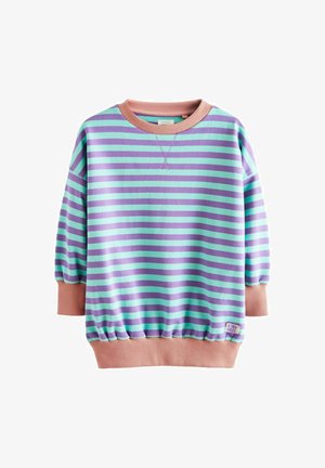 Next STRIPE - Sweatshirt - blue purple