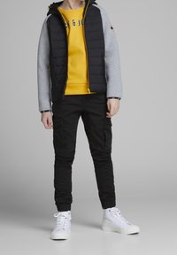 Jack & Jones Junior JJIPAUL JJFLAKE - Cargobyxor - black