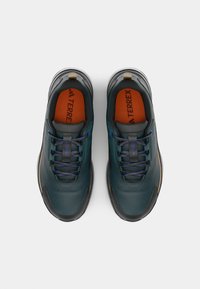Adidas Terrex ANYLANDER R.RDY - Pohodniški čevlji - aurora ivy/core black/cardboard