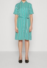 Vihreä ja valkoinen raidallinen paitamekko, jossa on napillinen etuosa, lyhyet hihat ja kiinnitetty vyö. Yhdistetty mustiin neliönmuotoisiin korkokenkiin.