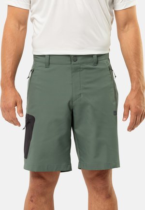 Jack Wolfskin ACTIVE  - Sports shorts - hedge green