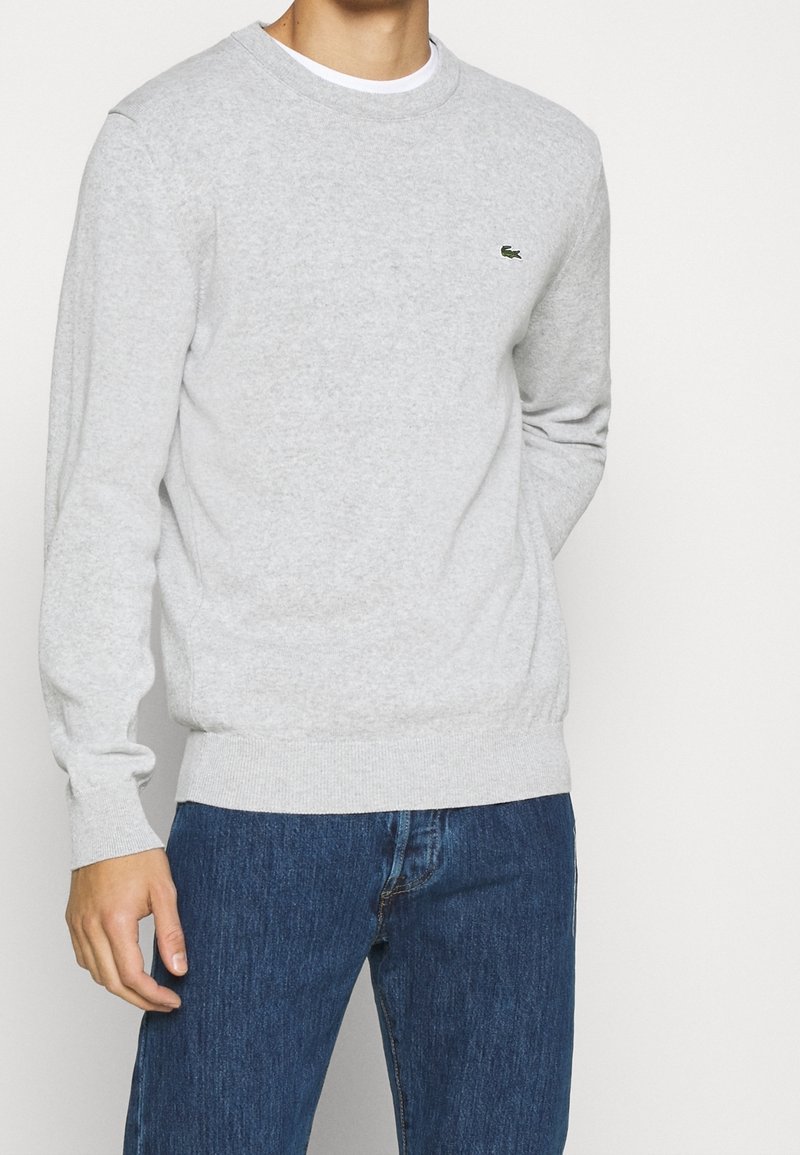 Homme portant un pull gris clair à manches longues avec un petit logo vert sur la poitrine et un jean bleu sur fond blanc uni.