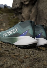 Scarpe da trail running in teal e grigio, con una parte superiore testurizzata, un prominente logo bianco "TERREX" e una suola bianca imbottita con trazione nera.
