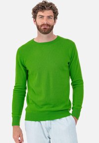 Pull vert à col rond en tissu tricoté doux. Silhouette ajustée avec manches longues et poignets et ourlet côtelés. Design décontracté.
