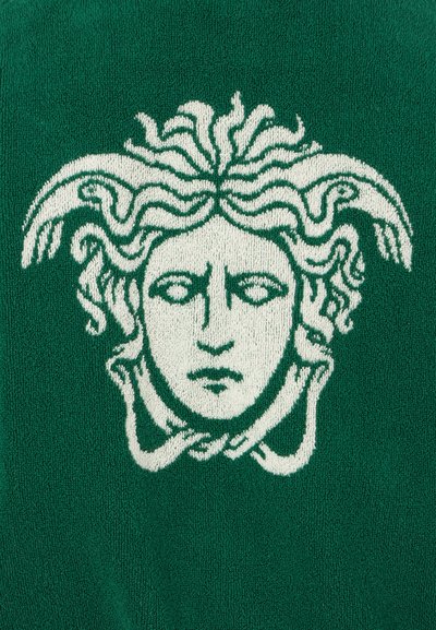 Λευκό κεφάλι Μέδουσας με φίδια πλεγμένα στα μαλλιά, κεντημένο σε υφασμάτινο φόντο πράσινου χρώματος με υφή.