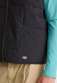 Dickies THORSBY LINER VEST UPDATE - Liemenė - black
