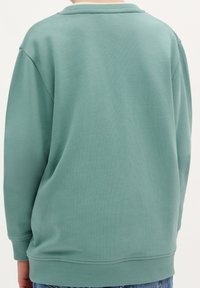 Felpa verde menta con vestibilità rilassata, tessuto morbido, polsini a coste e scollatura a girocollo. Design senza cuciture, senza loghi o motivi visibili.