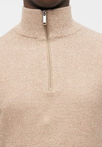 Μπεζ υφασμένο πουλόβερ με κοντό φερμουάρ στον ψηλό γιακά σε πρόσωπο, με απλό φόντο.