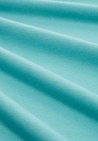 TOM TAILOR LOGO  - Camiseta estampada - meadow teal