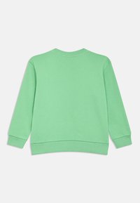 Zelená mikina s okrúhlym výstrihom a dlhými rukávmi. Vyrobená z mäkkého materiálu, s rebrovanými manžetami a lemom. Jednoduchý, jednofarebný dizajn.