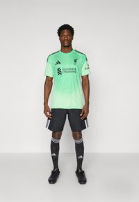 Zelený futbalový dres s čiernymi akcentmi, s logom a textom sponzora. Kombinovaný s čiernymi šortkami a čiernymi podkolienkami s bielymi pruhmi.