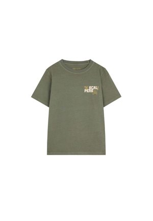 CREW  - T-shirts print - khaki
