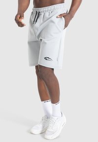 Smilodox NALE TRAINING SHORTS - Korte broeken - hellgrau