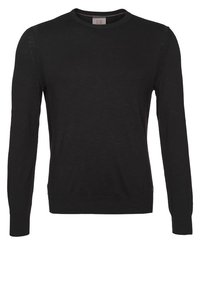 Suéter negro de manga larga hecho de una tela suave, con escote redondo y puños y dobladillo acanalados. Diseño minimalista, sin estampados ni herrajes.