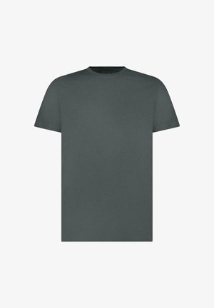 Grijs katoenen T-shirt met een ronde hals, korte mouwen en een gladde textuur, met een ontspannen pasvorm en zonder zichtbare patronen of accenten.