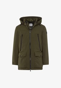 Non selezionato, olive