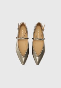 Chaussures plates en bronze métallique avec des bouts pointus, une bride ajustable à la cheville et une semelle intérieure en beige doux. L'extérieur a une texture lisse.