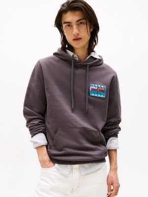 Grijze hoodie met een voorzak, een capuchon met trekkoord en een kleurrijke grafische patch. Heeft ribgebreide manchetten en een gelaagde look met een gestreept shirt.