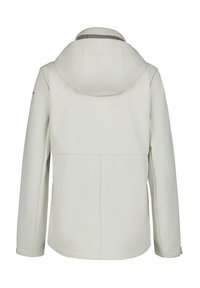 Giacca grigia chiara con cappuccio, caratterizzata da una texture liscia, dettagli delle cuciture e un taglio leggermente allungato. Design minimalista, senza componenti meccanici visibili.