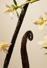 Rituals SUEDE VANILLA HOME GIFT SET - PRIVATE COLLECTION - Bad- & bodyset