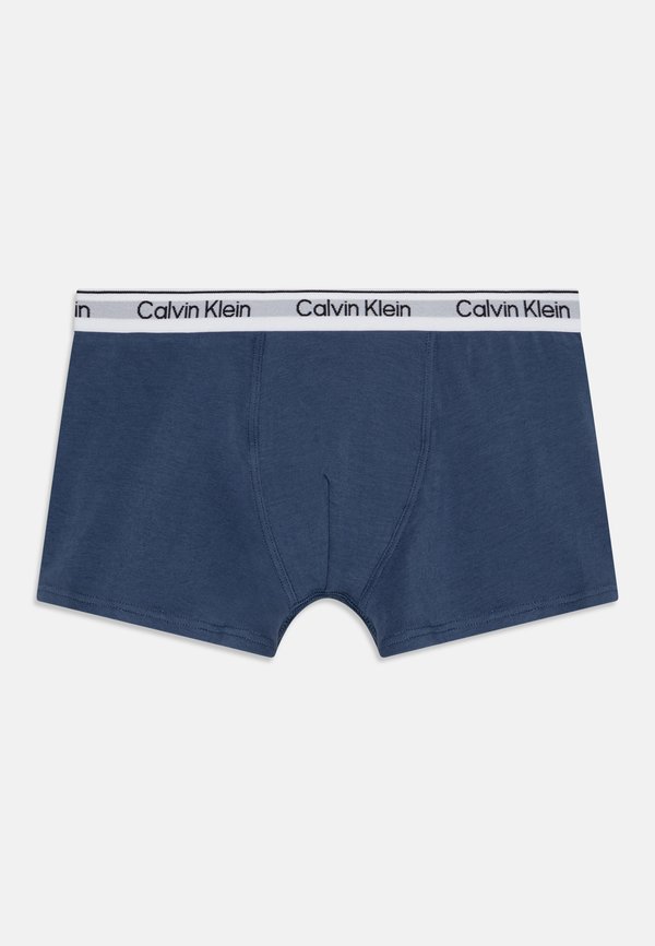 TRUNK 2 PACK - Pants3