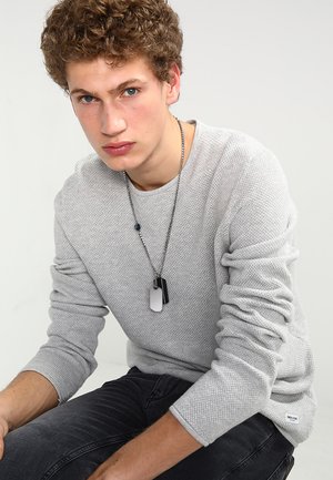 Maglione grigio chiaro testurizzato con maniche lunghe, abbinato a jeans scuri. Una collana a catena con dog tags e un piccolo pendente completa il look.