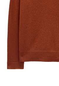 Sweter w kolorze rdzy, wykonany z dzianiny, o miękkiej teksturze, z długimi rękawami i ściągaczami. Dolna część ma prosty krój bez dodatkowych ozdób.