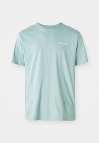 BARTON SPRINGS GRAPHIC TEE  - Tricou cu imprimeu - crushed blue/citron haze