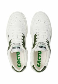 Witte sneakers met groene accenten, gestructureerd leer, geperforeerde details op de neus en een gevoerde binnenzool met het "CACTU" logo.