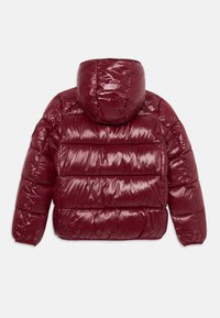 Rückansicht einer glänzenden kastanienbraunen Puffjacke mit gepolsterter Kapuze und horizontaler Steppnaht.