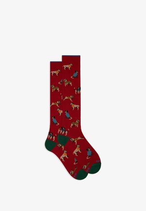Calze rosse con accenti verdi che presentano cani a fantasia con vari outfit, design lavorato a maglia, spessore medio e lunghezza alla caviglia.