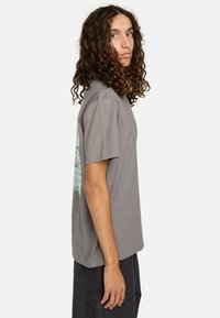 Graues Baumwoll-T-Shirt mit kurzen Ärmeln, einem Rundhalsausschnitt und einem grafischen Druck mit Blau- und Grüntönen auf der Rückseite. Einfaches Design.