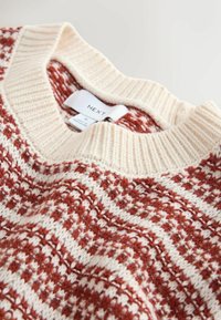 Knit sweater with a cream ribbed collar and rich rust-red patterned body featuring a textured design and label visible inside the neckline.