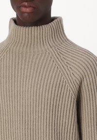 Beige Rippstrickpullover mit hohem Kragen und Raglanärmeln, der eine weiche Textur und ein einheitliches Muster aufweist.