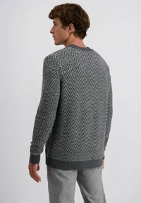 Man die naar links kijkt, gekleed in een grijs sweater met zigzagpatroon en lichtgrijze broek tegen een eenvoudige witte achtergrond.