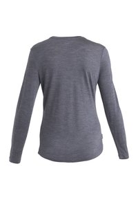 Langärmliges graues Shirt aus weichem Material, mit einem runden Halsausschnitt, glatter Textur und einem leicht abgerundeten Saum auf der Rückseite.