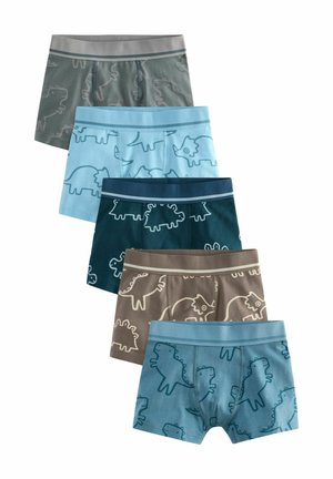 5 PACK - Panties - linear dino print
