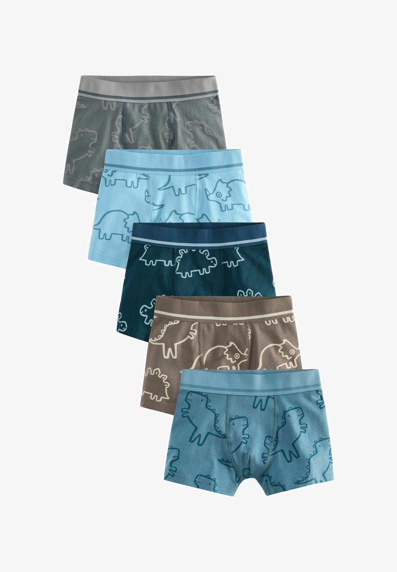 Fünf Paar Jungs-Boxershorts mit Dinosauriermotiven in Blau-, Grau- und Brauntönen, aus weichem Baumwollstoff und mit elastischen Bündchen.