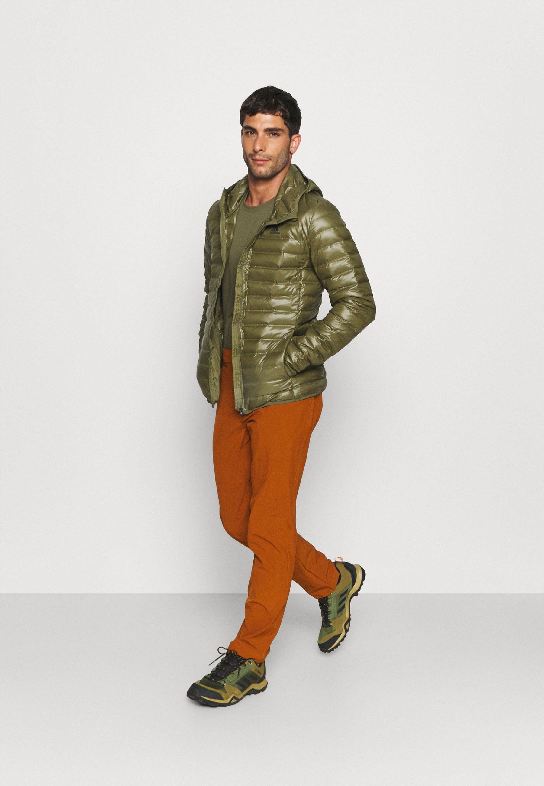 the north face paramount active pants